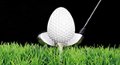 RESTAURACE & BAR FOREST GOLF CLASSIC 2010