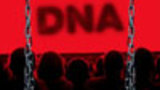 DNA - Dennis Kelly