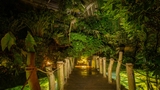 Botanická zahrada nabízí nevšední zážitek – zažijte džungli po setmění
