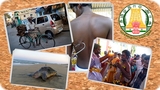 Jižní Indie - duchovní pouť napříč Tamilnádem