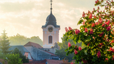 Výlet do Týnu nad Vltavou stojí za to - Výlet jižní Čechy