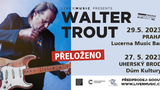 Walter Trout zpátky v České republice