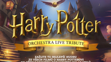 Harry Potter Orchestra Live Tribute - Brno