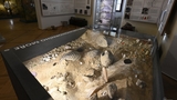 Geologie a mineralogie - Vlastivědné muzeum a galerie v České Lípě