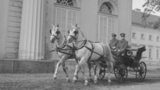 Výstava Starokladrubský kůň: historie dvorního hřebčína Kladruby nad Labem
