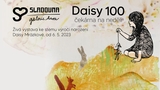 Výstava Daisy 100: Čekárna na neděli při příležitosti stého výročí narození Daisy Mrázkové