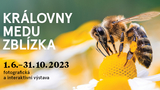 Královny medu zblízka - Fotografická a interaktivní výstava včel 