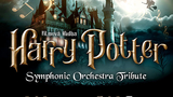 Harry Potter Symphonic OrchestraTribute v Brně