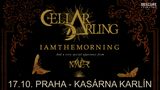 Cellar Darling, Iamthemorning a Maer v Karlíně