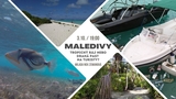 Maledivy: tropický ráj nebo drahá past na turisty? - Brno