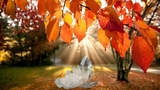 Podzim z křišťálu a léčivá síla Slunce