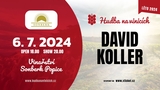 David Koller - Hudba na vinicích 2024 - Vinařství Sonberk