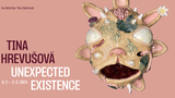Tina Hrevušová - Unexpected Existence