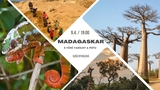 Madagaskar s vůní vanilky a potu - Brno