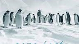 Volání Antarktidy (Francie) 2D - Česká Třebová