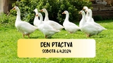 Den ptactva v Zooparku Zelčín