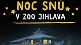 Noc snů v Zoo Jihlava