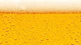 Zahájení pivovarské sezóny - Třemošnice