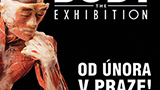 V Praze otevřela své brány největší výstava o lidském těle Body The Exhibition