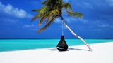 Máte rádi bílé pláže? Najdete je na Maledivách nebo Zanzibaru