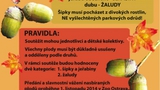 Zoo Ostrava vyhlašuje soutěž ve sběru podzimních plodů
