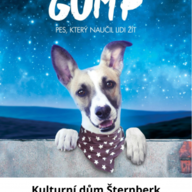 Filmové promítání pro děti: Gump – pes, který naučil lidi žít - Šternberk