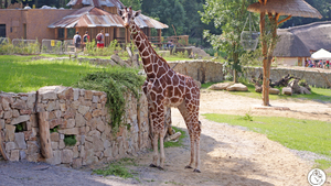 Podzimní prázdniny PodpoVRCHem - Zoo Jihlava