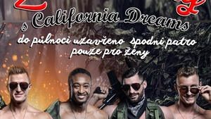 Pánská strip show - California Dreams