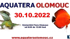 Aquatera Olomouc 2022