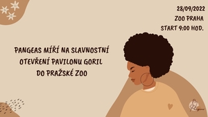 Pangeas v Zoo Praha (Slavnostní otevření pavilonu goril)