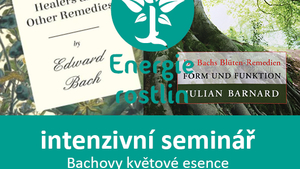 Bachovy esence - dvoudenní intenzivní seminář 