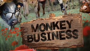 Monkey business v Barráku