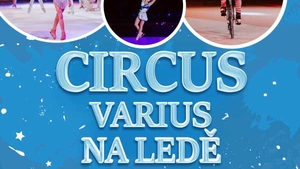 Circus Varius na ledě v Pardubicích