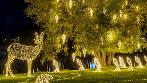 Vánoční park Světla vyprávějí s neopakovatelnou atmosférou ve Žlutých lázních