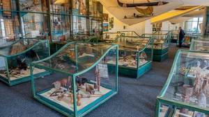 Stálá expozice Kultury Austrálie a Oceánie - Náprstkovo muzeum