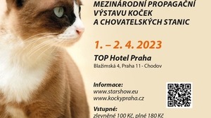 Mezinárodní propagační výstava Kočky Praha 2023