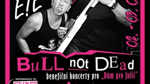 BULL NOT DEAD - E!E/Liquid Jesus/DneskaNe/The Desperate Mind