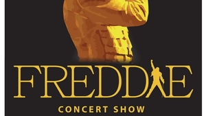 Freddie - Concert show v DK Metropol