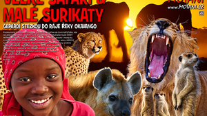 K&M Motani: Velké Safari a usmíření s Afrikou? - Městské divadlo Žatec