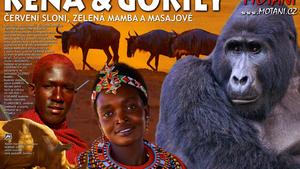 K&M Motani: Keňa a Gorily - MÚ Koruna Žandov