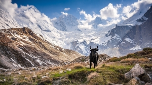 Cesty indickým Himálajem - Pavel Svoboda v Hodpůdce Na Točně