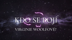Kdo se bojí Virginie Woolfové - Západočeské divadlo v Chebu