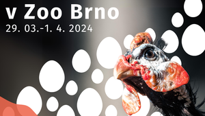Velikonoce v Zoo Brno 2024