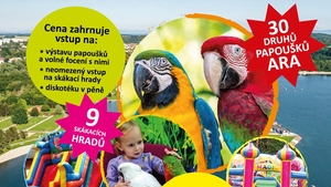Výstava papoušků a skákací hrady - Hlučín