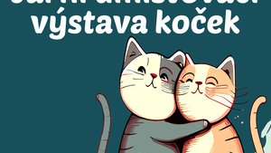 Jarní umisťovací výstava koček - KC Průhon