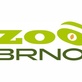 Se zvířecím příjmením do Zoo Brno zdarma