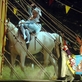 Kouzelný cirkus - Laterna magika