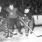 Hokej - budějcký fenomén (90 let ligového klubu)