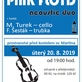 Pink floyd acoustic duo