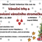 Vánoční trhy 2019 - České Velenice